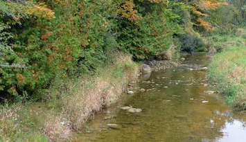 Ausable Bayfield Conservation photo