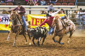 Foster leaps off his horse onto a steer at the 48th International Finals Rodeo in Oklahoma City. January 2018. (Photo courtesy of Emily Gethke Photography)