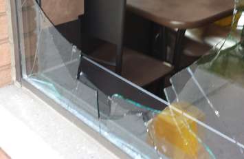 Damages after deer crashes through Tim Hortons window in downtown Chatham, June 11, 2015. (Photo courtesy of Murray Holland)