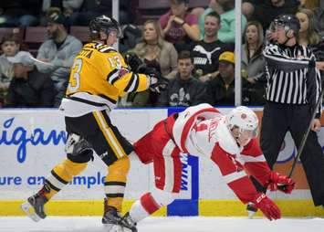 The Sarnia Sting beat the Greyhounds 5-3, handing the Soo their 1st reg. loss in 30 games. January 19, 2018. (Photo courtesy of Metcalfe Photography)