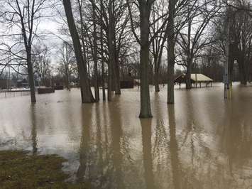 Flooding at Alexandra Park in Strathroy. February 21, 2018 (Photo by Melanie Irwin)