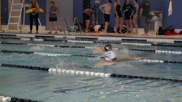 Swimmers taking part in the LKSSAA Swimming Championship from the Sarnia YMCA. January 17, 2019. (Photo by Colin Gowdy, BlackburnNews)