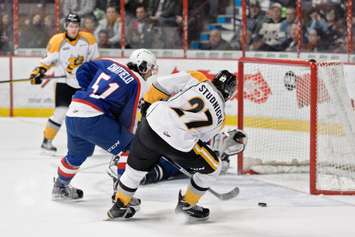 The Sarnia Sting take on the Windsor Spitfires, January 31, 2016. (Photo courtesy of Metcalfe Photography)