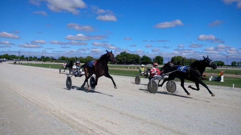 Race dates confirmed for Leamington Raceway