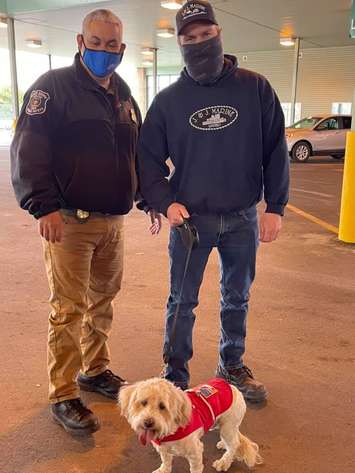 Miracle the dog (Photo via Friends of the River Rouge Animal Shelter Facebook)