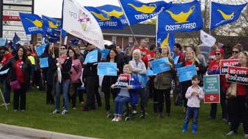An education rally in Sarnia-Lambton. (Photo by Colin Gowdy, BlackburnNews)