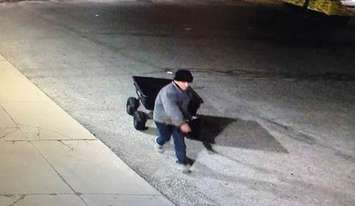 Chatham-Kent police are asking for the public's help to identify this man in connection with a theft investigation. (Photo courtesy of Chatham-Kent police)