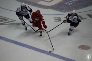 The Windsor Spitfires lose 2-4 against the Sault Ste Marie Greyhounds on November 16, 2014 at the WFCU Centre. (Photo by Jason Viau)