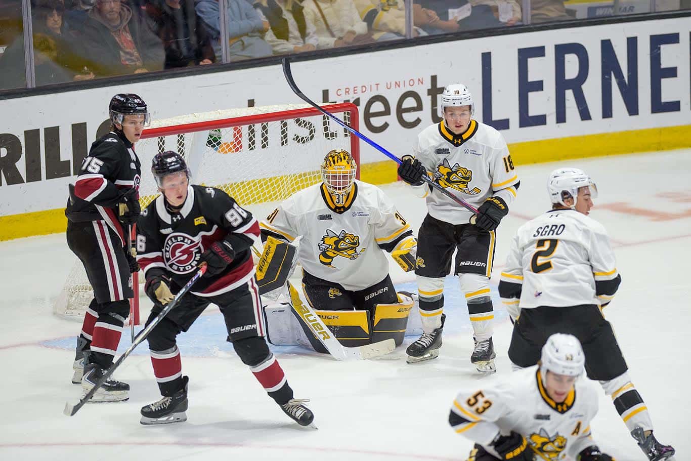 Tough second period costs Sting in 5-2 loss to Storm