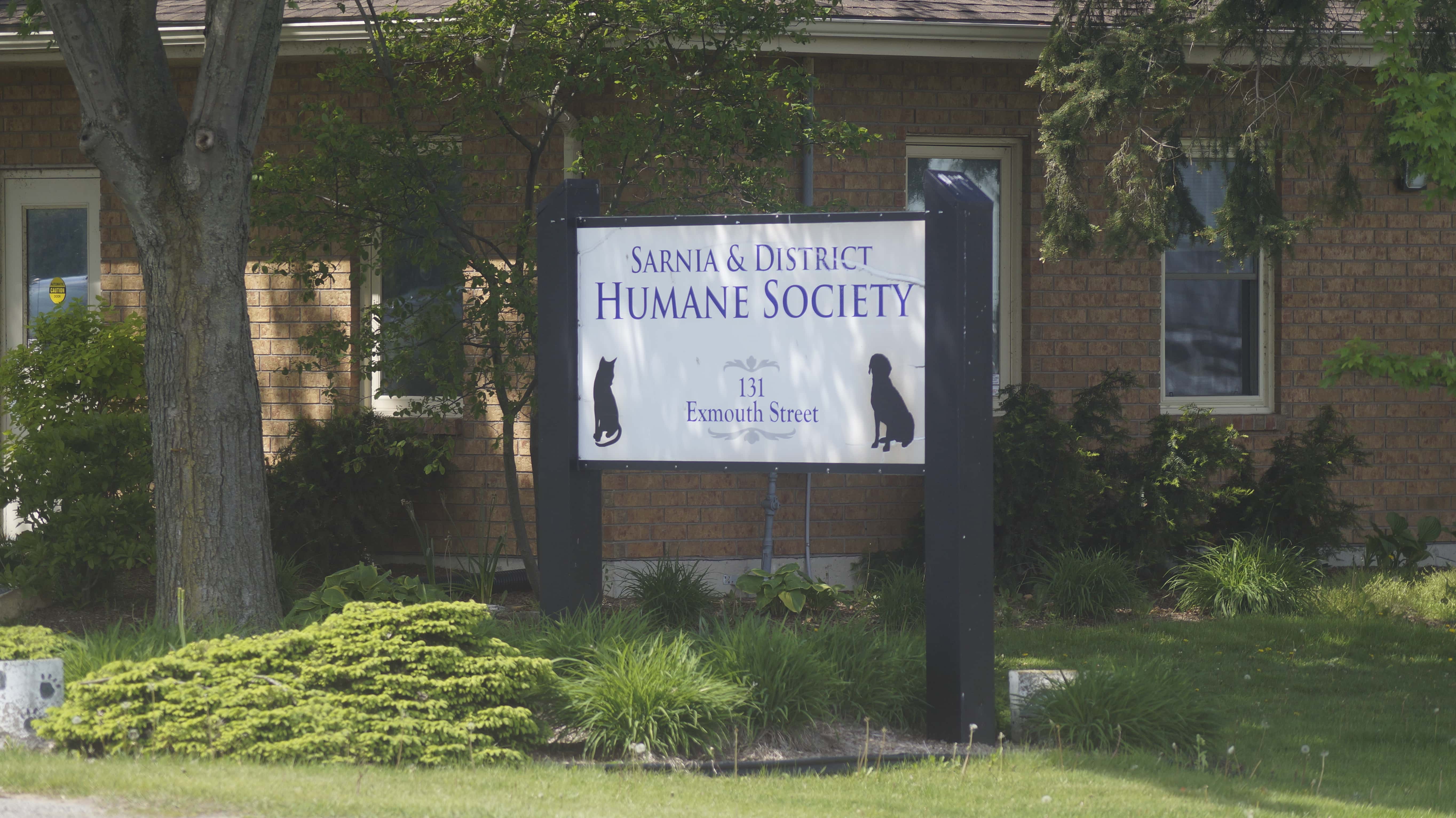 Humane society calls for support in Centennial Park bid