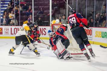 The Windsor Spitfires take on the Sarnia Sting, March 29, 2018. (Photo courtesy of Metcalfe Photography)