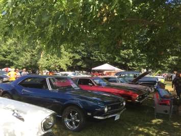 Thousands descend on Bothwell's Victoria Park for the annual Bothwell car show, August 6, 2016. (Photo by the Blackburn Radio Summer Patrol)
