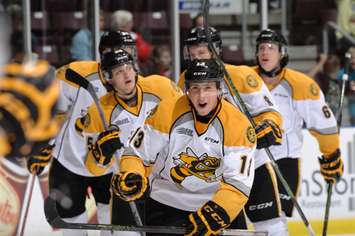 Sasha Chmelevski celebrates scoring a hat trick while with the Sting during the 2015-16 season (Photo by Metcalfe Photography)