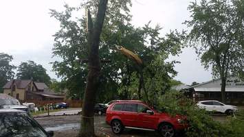 Storm damage at Rock Glen Family Resort Sat June 17, 2017. Photo by Rob Russell. 