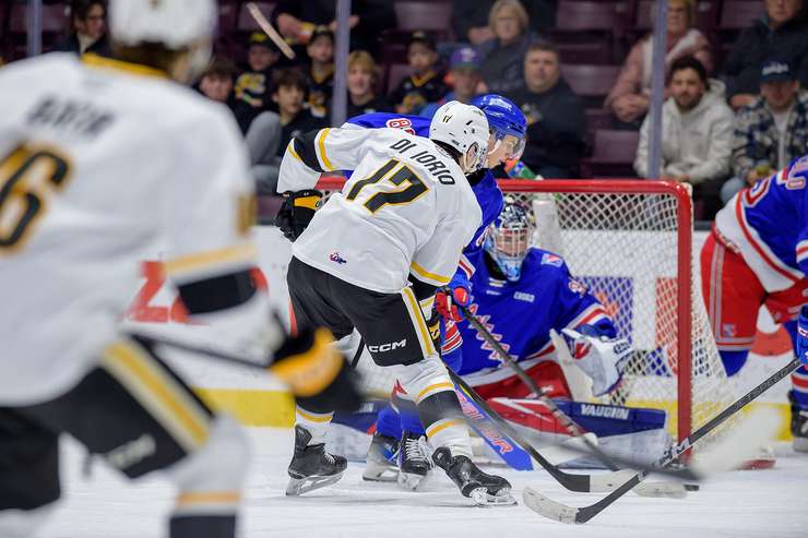 Kitchener Rangers at Sarnia Sting, December 18, 2024. Photo by Metcalfe Photography. 