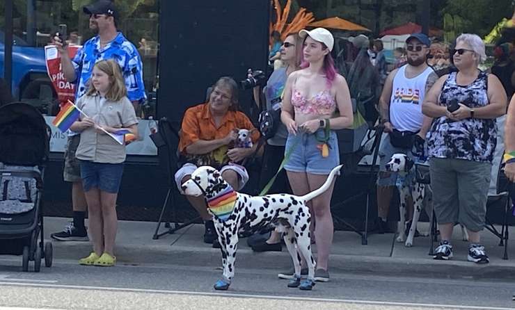 Dalmatian dresses up for Pride, August 13, 2023 (Photo courtesy of Adelle Loiselle, Blackburn Media)
