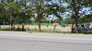 Centennial Park fencing comes down July 16, 2015 (BlackburnNews.com Photo by Briana Carnegie)