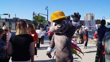 Mascot Pachi the porcupine outside City Hall June  16, 2015 (BlackburnNews.com Photo by Briana Carnegie).