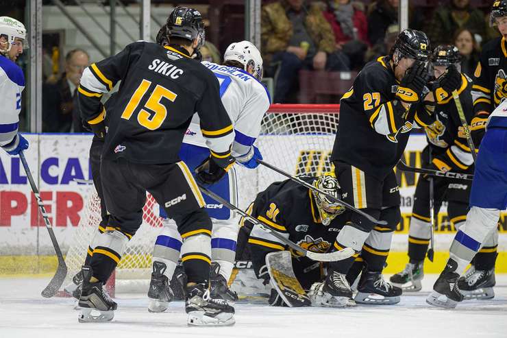 Sarnia Sting against Sudbury Wolves on January 13, 2024 (Photo by Metcalfe Photography)