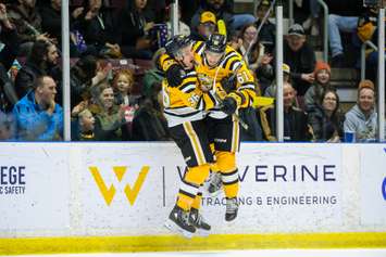 Sasha Pastujov and Christian Kyrou celebrate a goal in the Sarnia Sting's game versus the visiting  London Knights. 18 February 2023. (Metcalfe Photography)