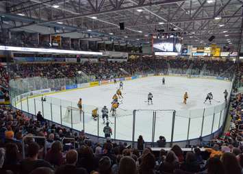 Sarnia Sting vs Saginaw Spirit Family Day Feb. 19, 2018 (Photo courtesy of Metcalfe Photography)