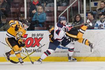 The Sarnia Sting vs. Saginaw Spirit at the SSEC Feb 15/16  (Photo Courtesy of Metcalfe Photography)