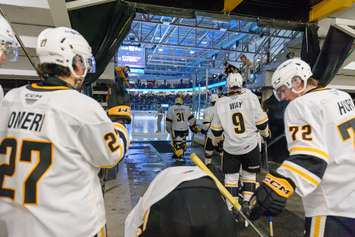Goalie Ryan Munce of the Sarnia Sting protects the net during a