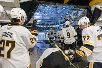 Erie Otters Carry Three-game Win Streak Into Weekend Home