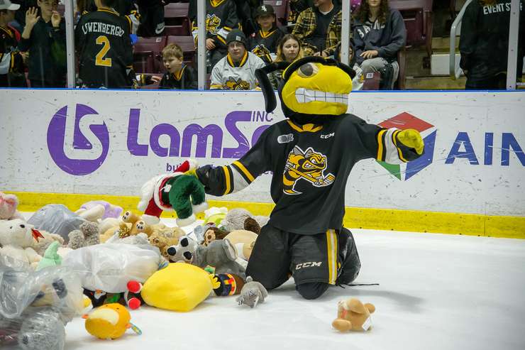 Knights defeat Sarnia on Teddy Bear Toss night