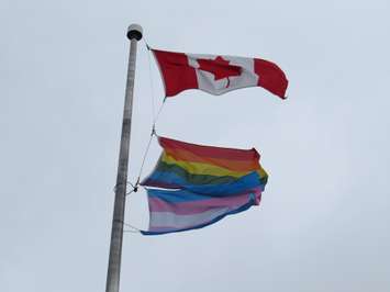 The pride and transgender flags flying at the Thames Valley District School Board office on Dundas St., April 19. 2017. (Photo by Miranda Chant, Blackburn News.)