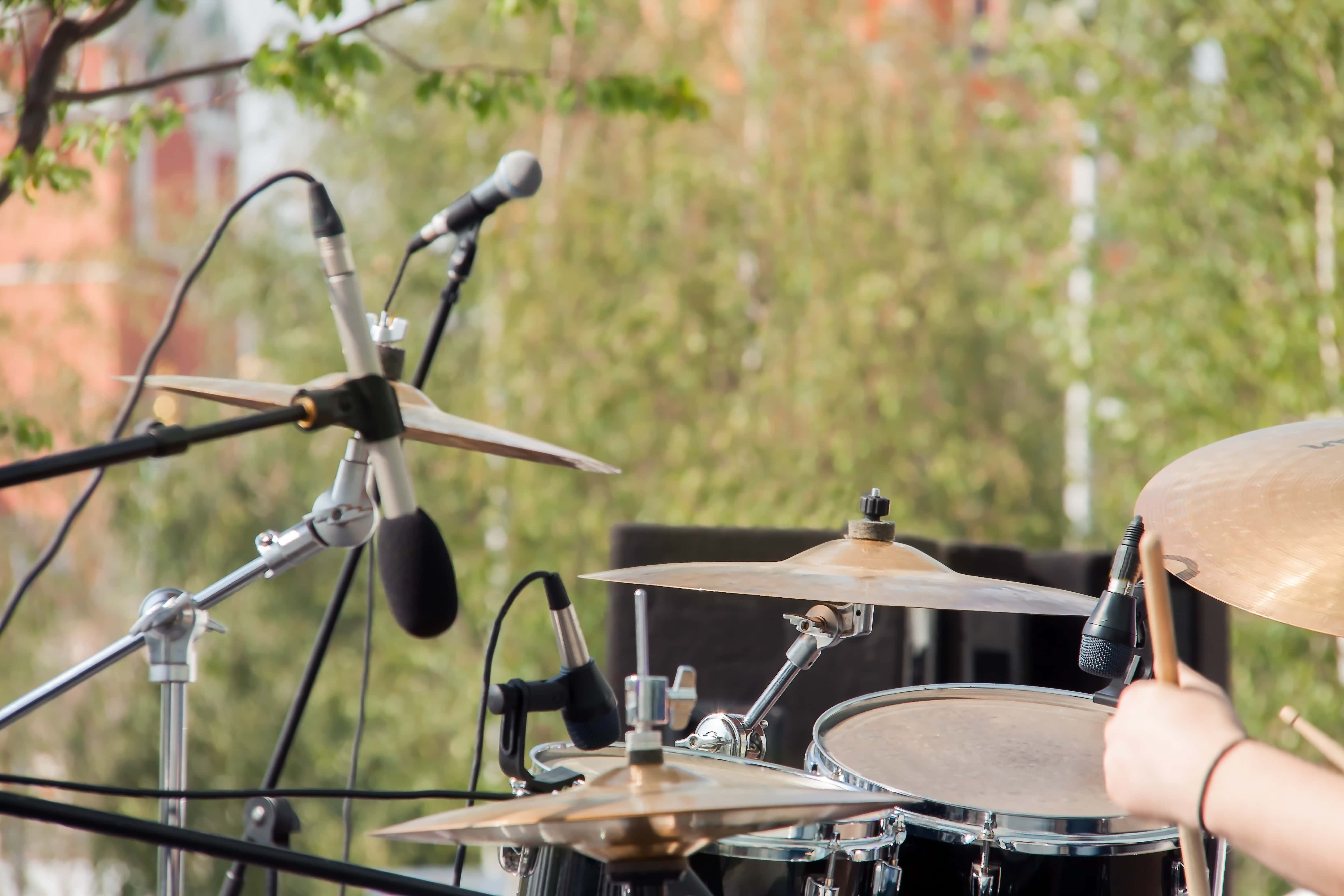 Punk Rock Picnic returns after brief hiatus