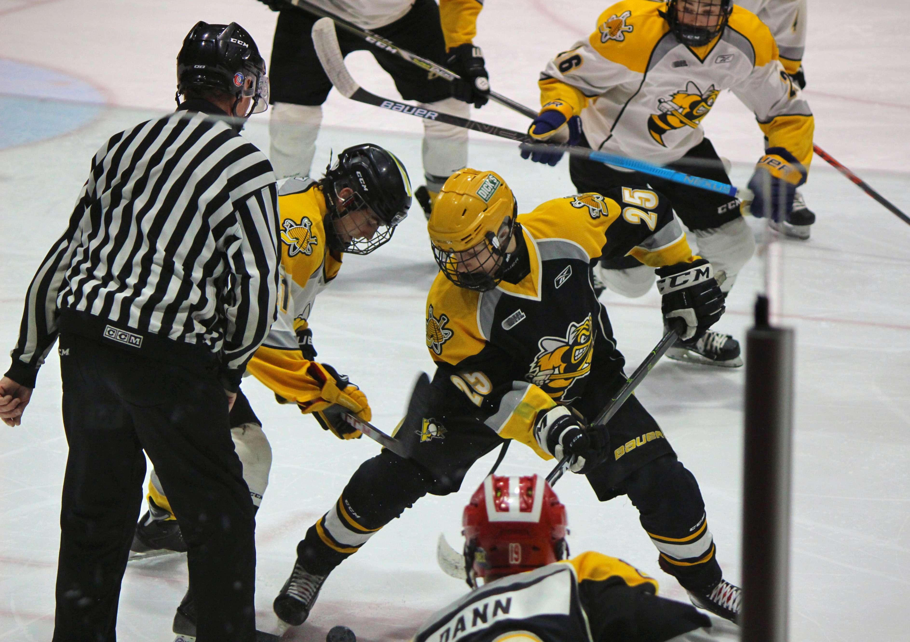 Sting sign skilled, diminutive forward from Pittsburgh