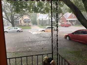Windsor residents deal with widespread flooding in the city,
 August 29, 2017. (Photo courtesy of Dora Amelia Belanger)