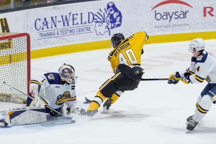 Sting snap two game losing skid with 9-1 win over Erie