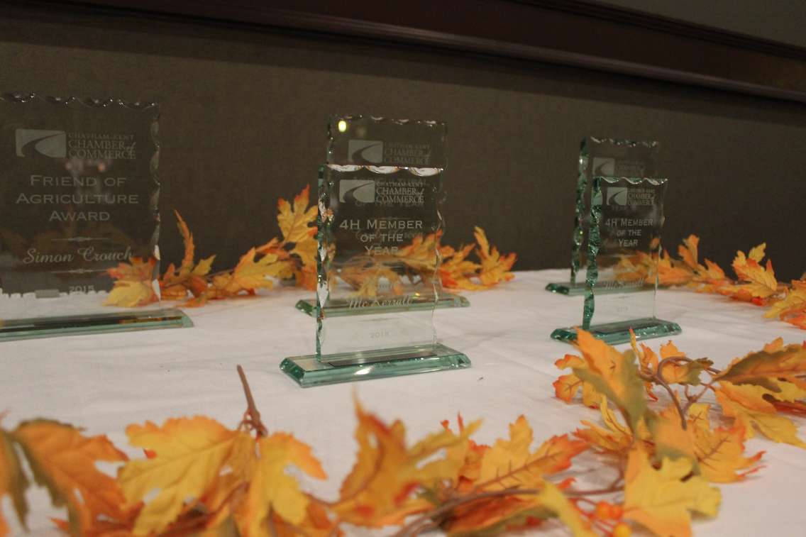 The awards for the Chatham-Kent Chamber of Commerce Rural Urban Awards Dinner on November 25, 2015. (Photo by Ricardo Veneza)