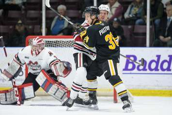 Sarnia's Sasha Pastujov taking on his former team, the Guelph Storm, in a game from the Hive. 15 February 2023. (Metcalfe Photography)