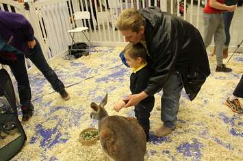 Southwestern Ontario Pet Expo at the John D. Bradley Convention Centre in Chatham. March 11, 2017. (Photo by Natalia Vega)