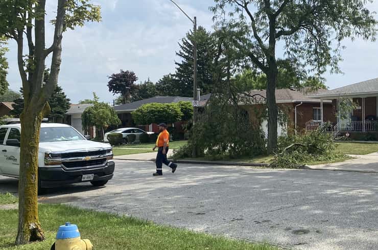 A City of Windsor employee checks out storm damage in Forest Glade, September 3, 2026. Photo by Adelle Loiselle/WindsorNewsToday.ca.