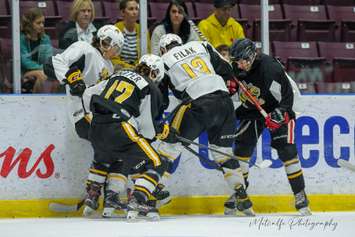 Sarnia Sting players taking part in the annual Black and White Game in support of the United Way.  2 September 2022.  (Metcalfe Photography)