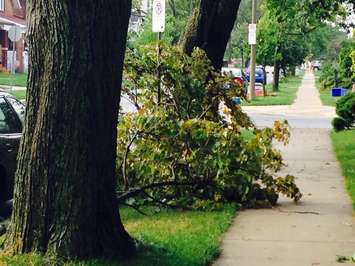 A severe thunderstorm causes damage on Dawson Rd. in Windsor, September 23, 2015. (Photo by Adelle Loiselle)