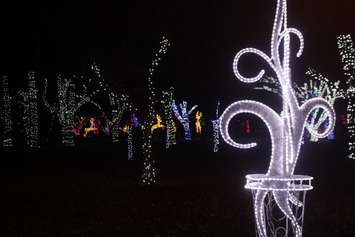 Bright Lights Windsor, Jackson Park, January 7, 2020. Photo by Mark Brown/Blackburn News.