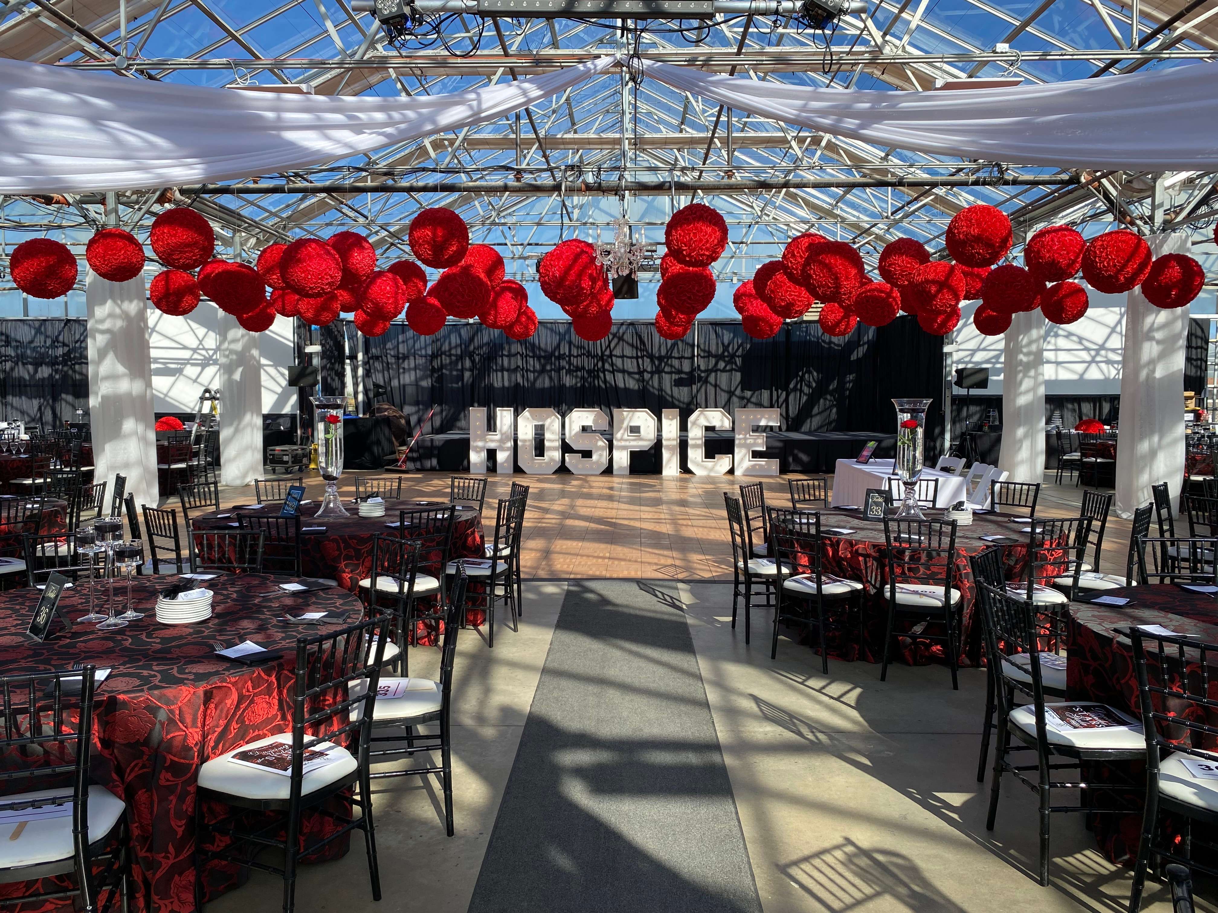 Dancing Under the Stars Gala marks 20 years