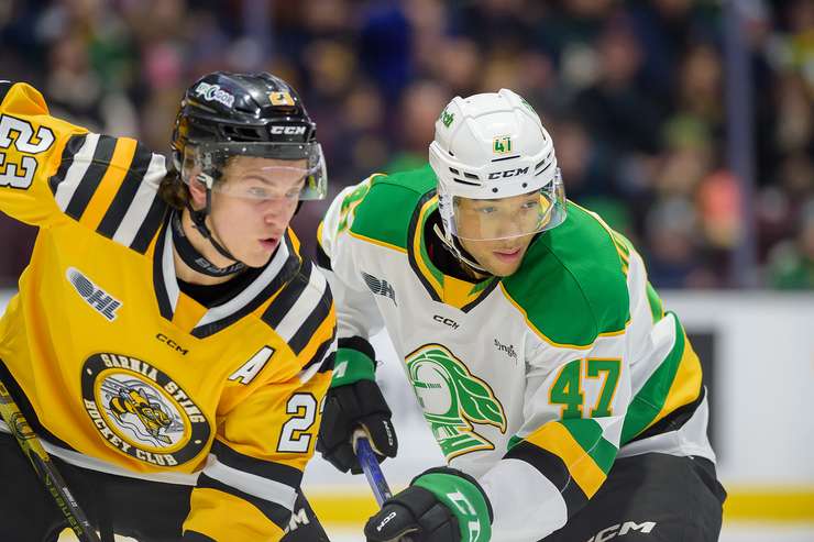 London Knights visit Sarnia Sting, January 1, 2025. Photo by Metcalfe Photography. 