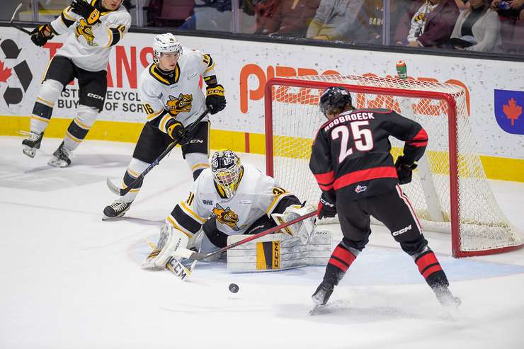 The Sarnia Sting host the Niagara Ice Dogs, Oct 26, 2024 (Photo by: Darren Metcalfe Photography)