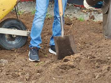 Students at GLSS in Sarnia plant a woodland habitat with help from the Golden K Kiwanis - May 5/23 (Sarnia News Today photo by Josh Boyce)