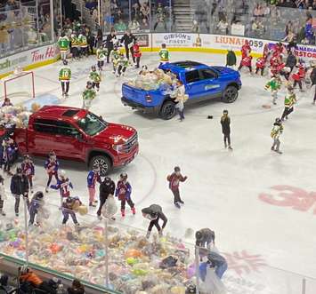 Players work to collect bears thrown on the ice at the London Knights' annual Teddy Bear Toss, December 5, 2023. Photo from the Salvation Army on X.