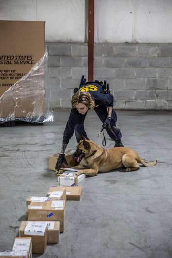 A newly formed Detroit Metro Global Trade Task Force (GTTF) is off to a flying start. (Mar 12, 2019. (Photo courtesy of ICE)