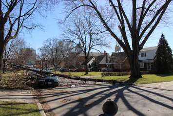 Wind damage on Durham St. in Windsor, March 8, 2017. (Photo by Maureen Revait) 