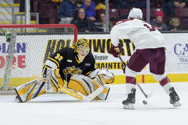 Peterborough at Sarnia Sting, Jan 24, 2026. Photo courtesy of Metcalfe Photography. 