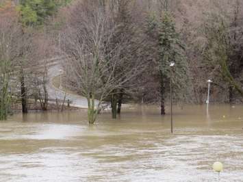 Flooding in Harris Park, February 21, 2018. (Photo by Miranda Chant, Blackburn News) 